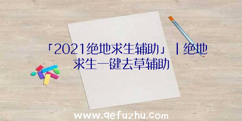 「2021绝地求生辅助」|绝地求生一键去草辅助